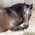 Taking it easy at a show